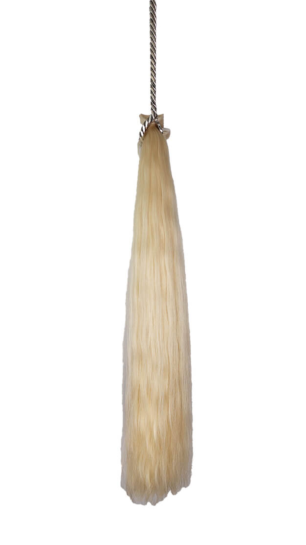 Bleached Blonde