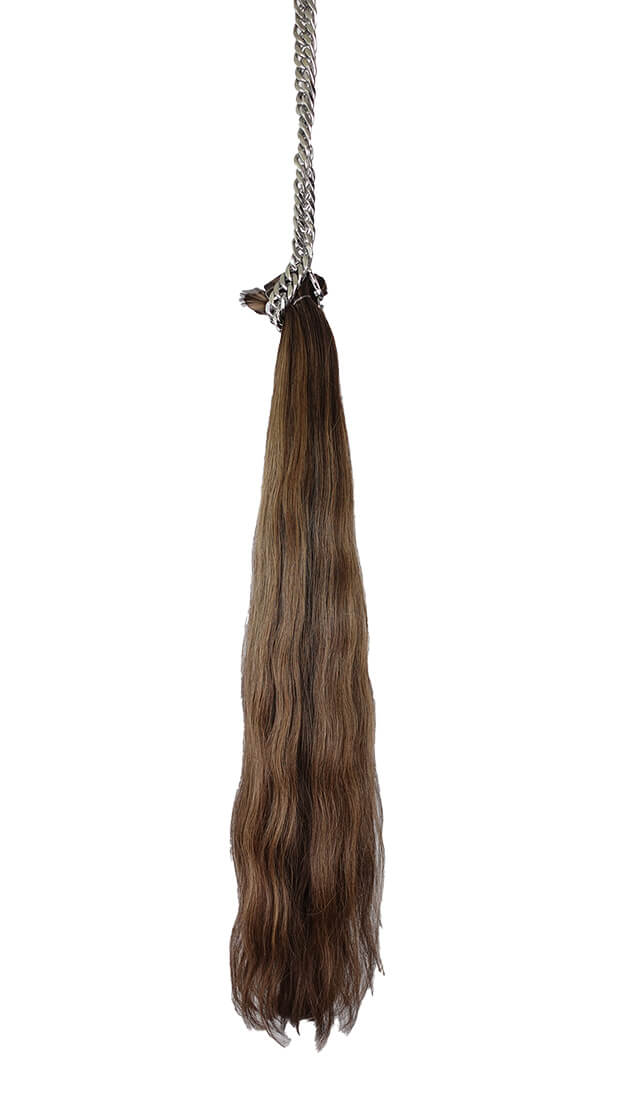 Dark Brown + Blonde