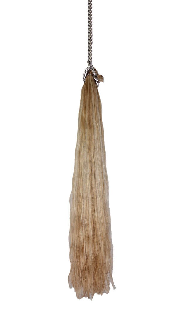 Dirty Blonde + Blonde