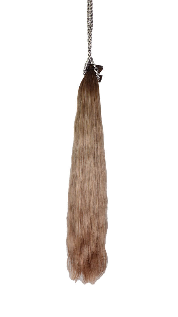 Medium Brown Root + Light Brown & Ash Blonde